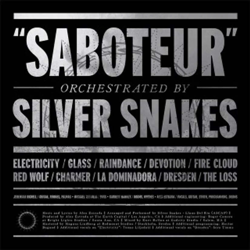 Silver Snakes - Le Coup de cœur d'Aurélie