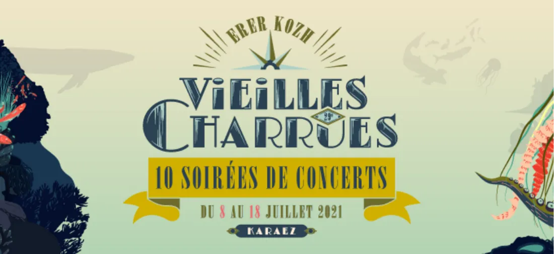 Le public finalement debout au festival Les Vieilles Charrues !