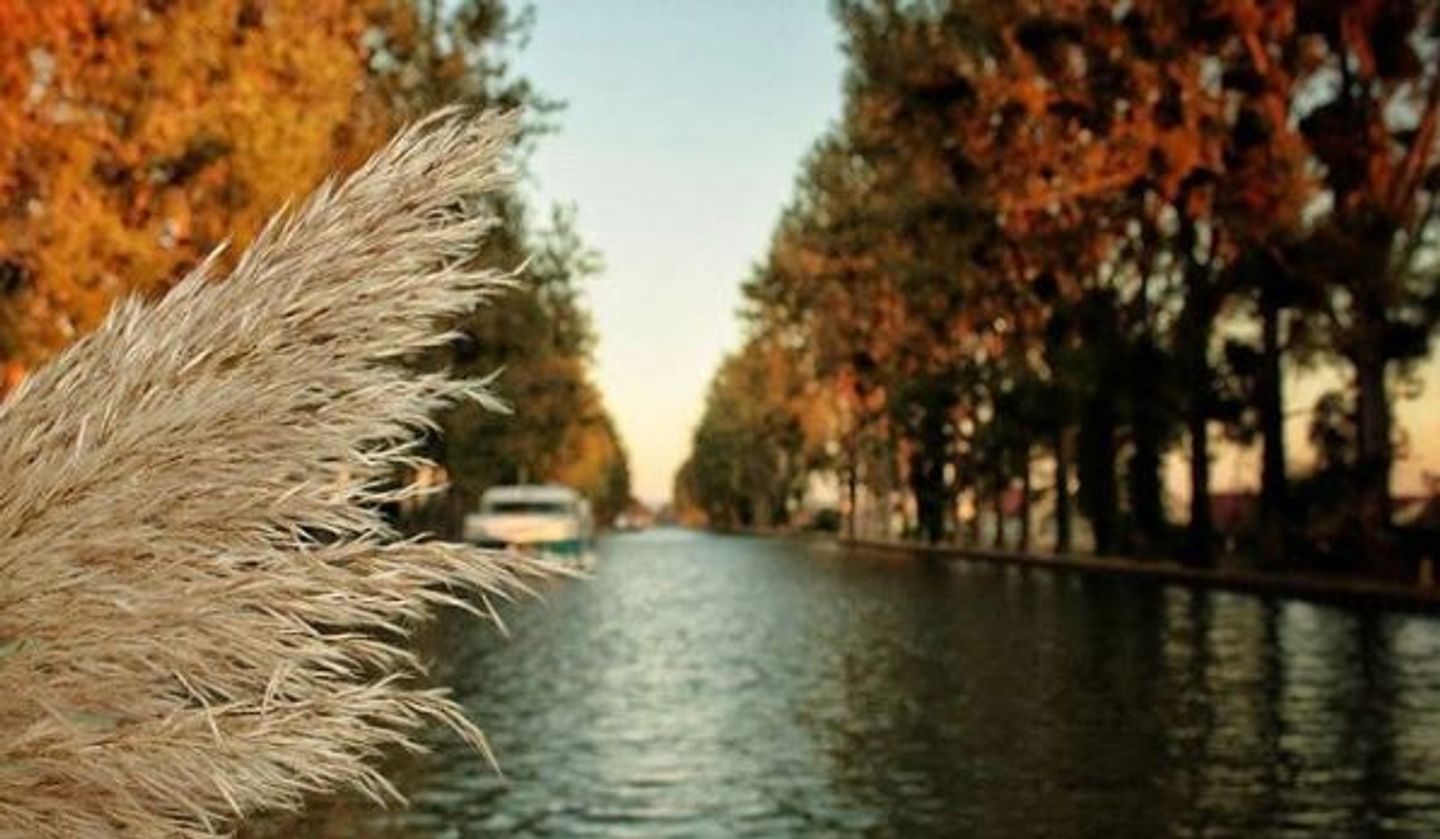 Un concours photo organisé par le Crédit Agricole ...