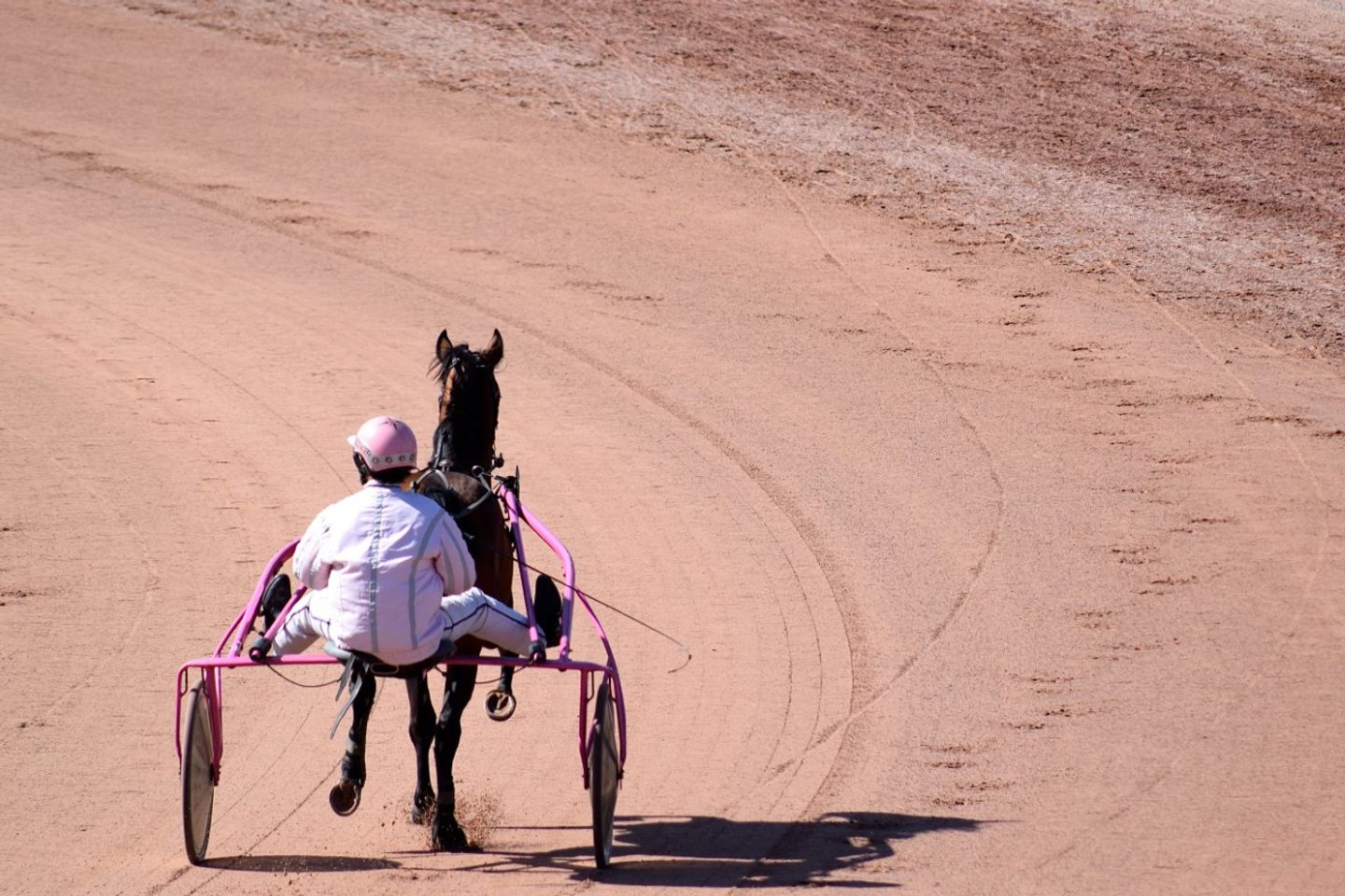 Calendrier 2022 Hippodrome