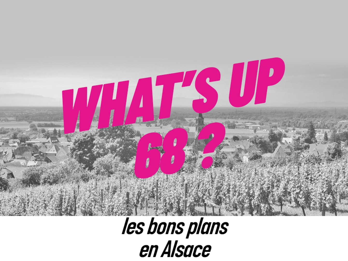 WHATS UP 68