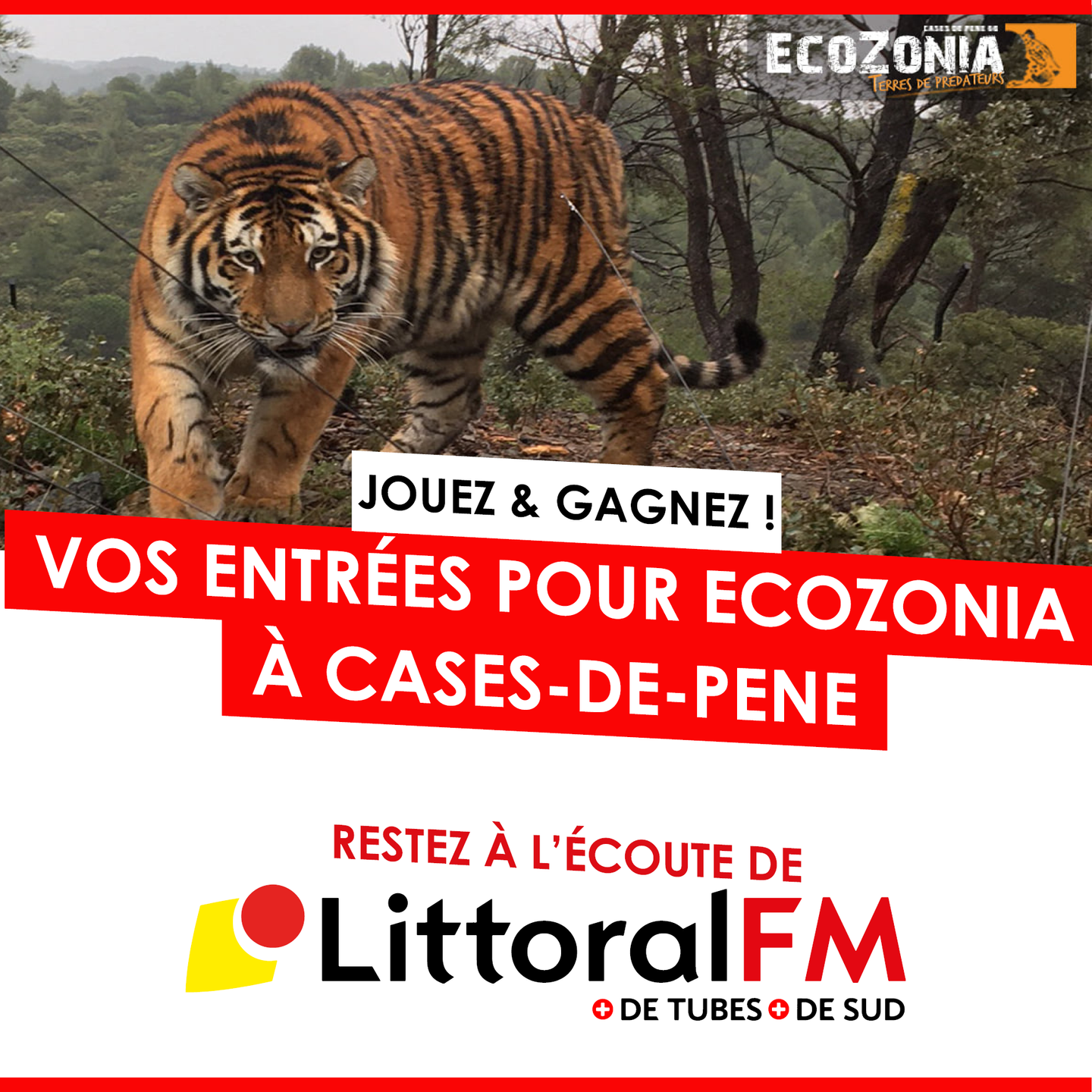 Ecozonia