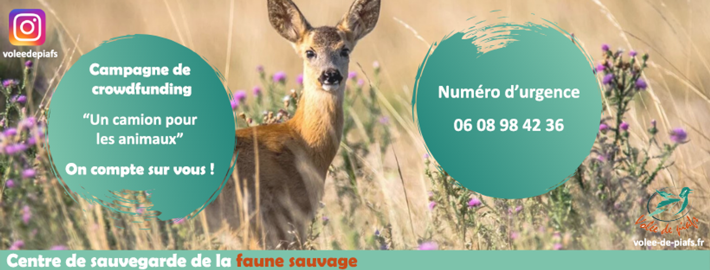 OCEANE FM