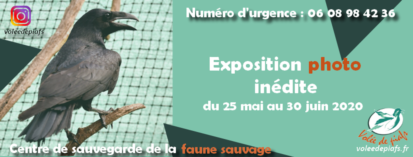 OCEANE FM