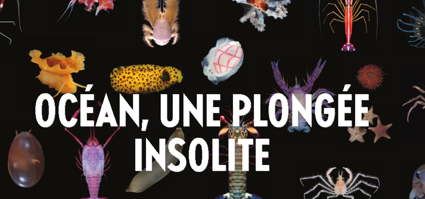 OCEANE FM
