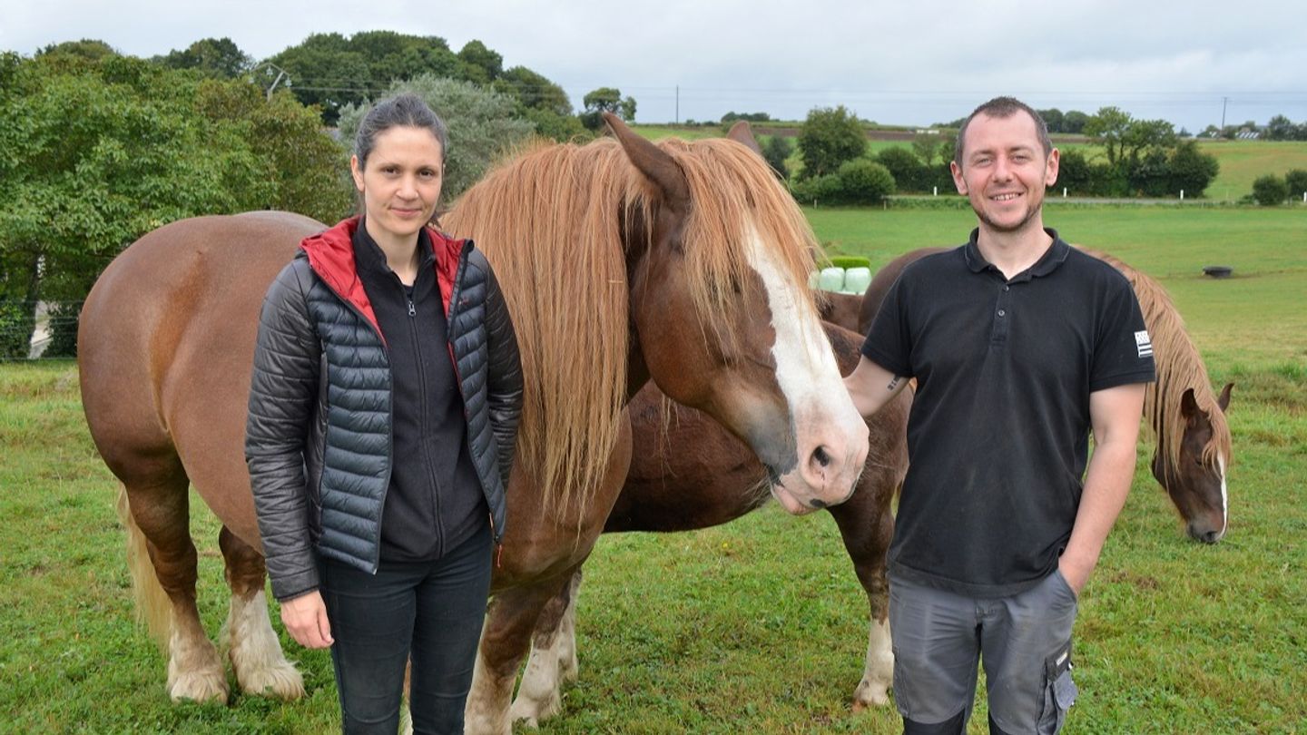 Tentative Du Plus Gros Gateau Breton Du Monde A Mellac Dans Le Finistere Oceane Fm