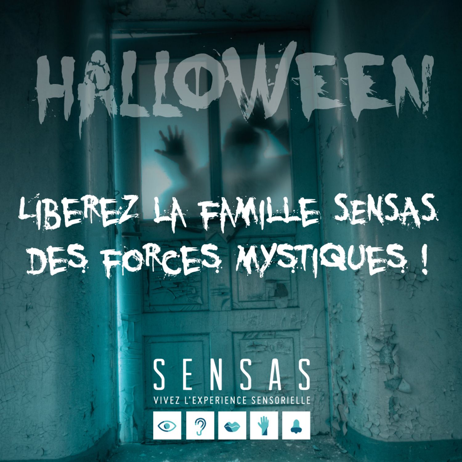sensas Mulhouse
