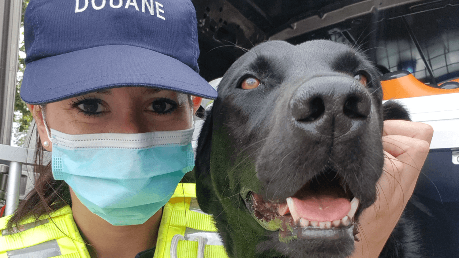 Elisa et Lab