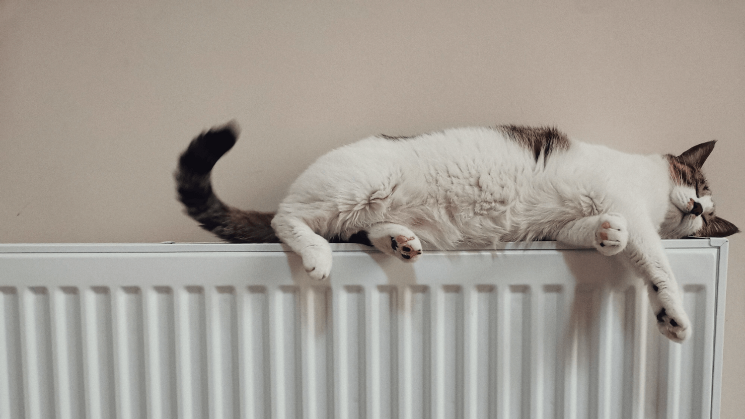 Radiateur