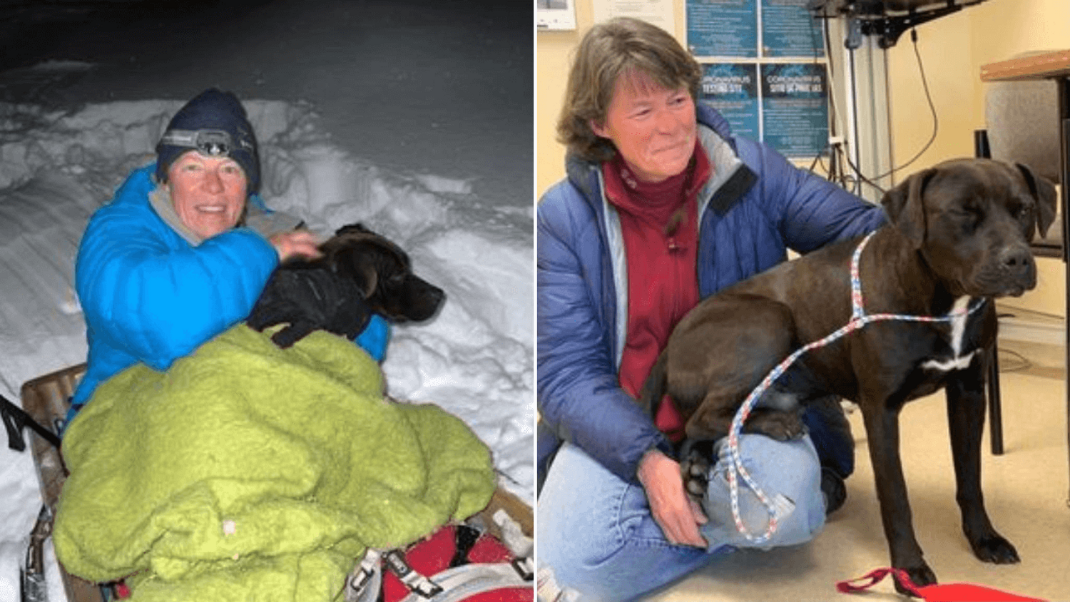 Un chien disparu depuis 4 mois retrouvé vivant en pleine montagne et recouvert de neige