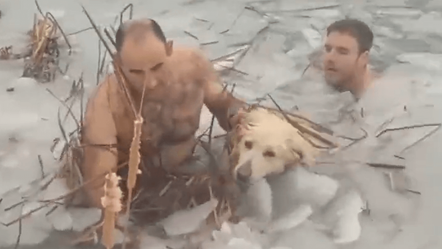 Espagne : deux policiers plongent dans un lac gelé pour secourir un chien