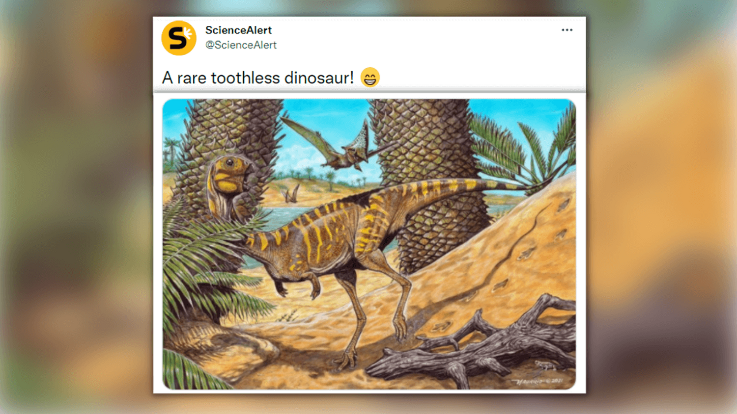 "Berthasaura leopoldinae" : une nouvelle espèce de dinosaure découverte au Brésil