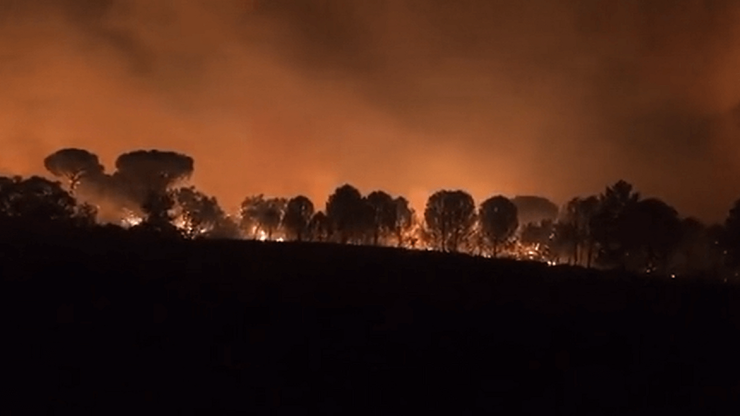 Vaste incendie dans le Var