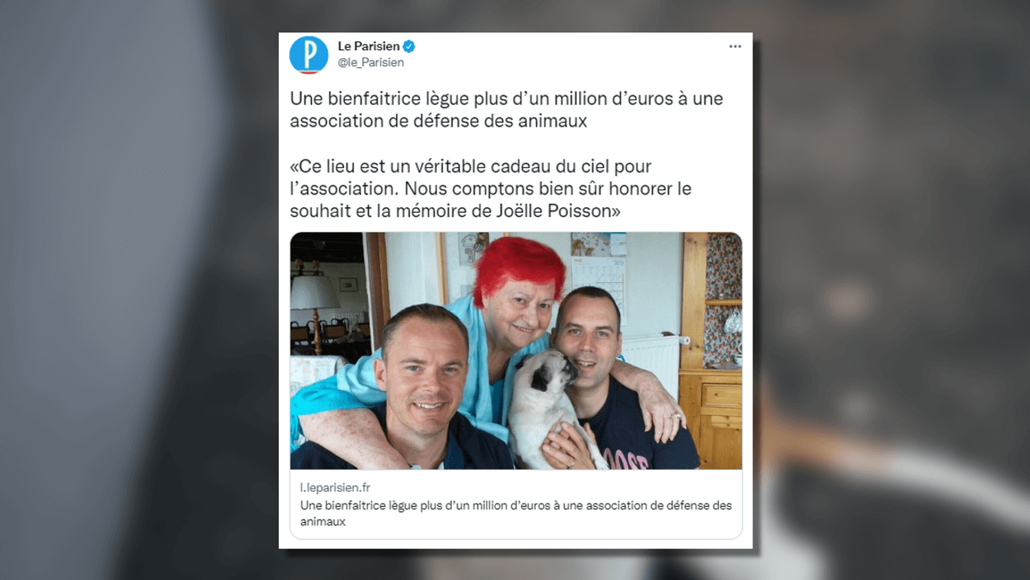 Morbihan : elle lègue un million d'euros à une association de protection des animaux