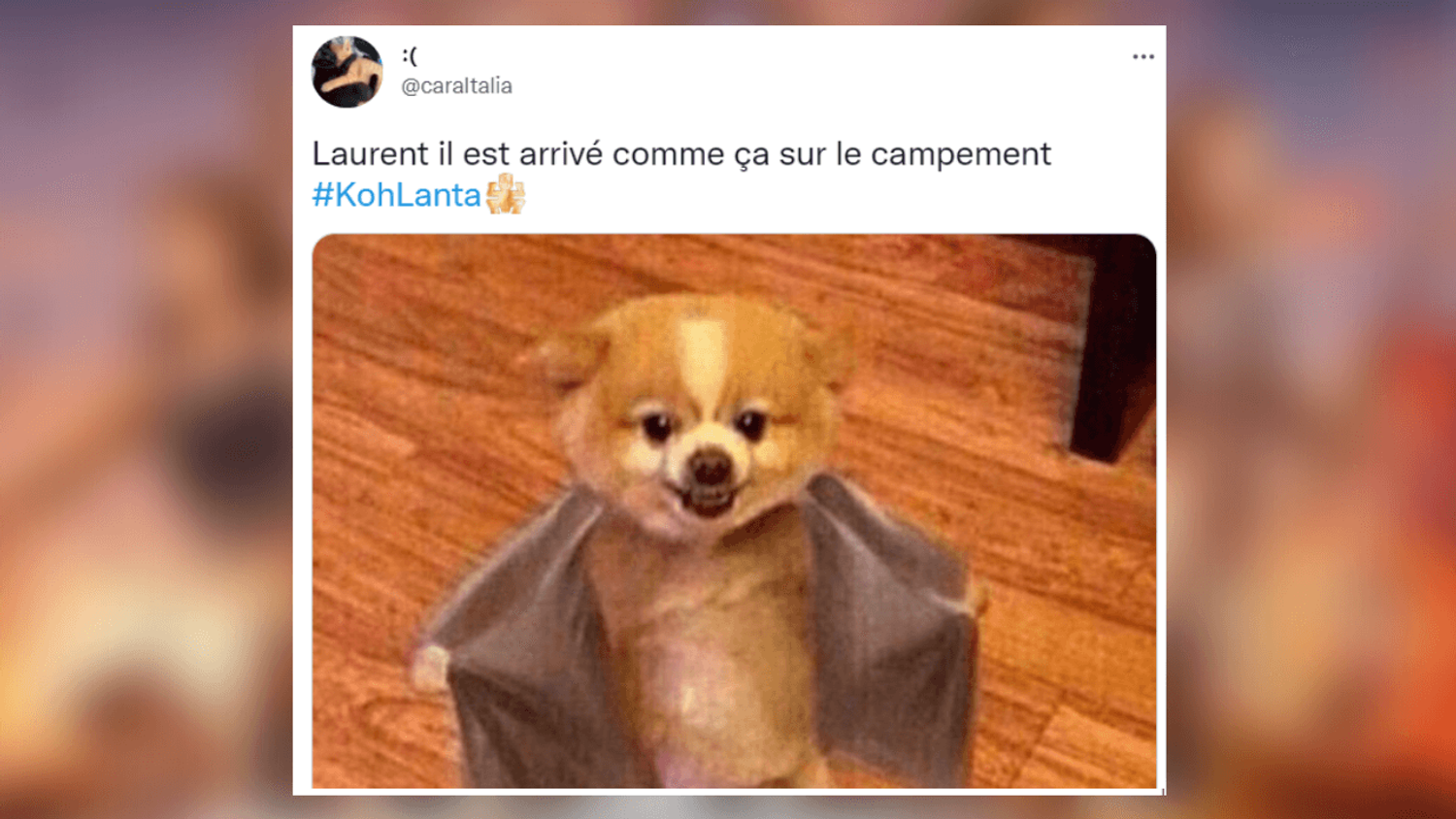 Meilleurs Tweets Koh Lanta La Légende
