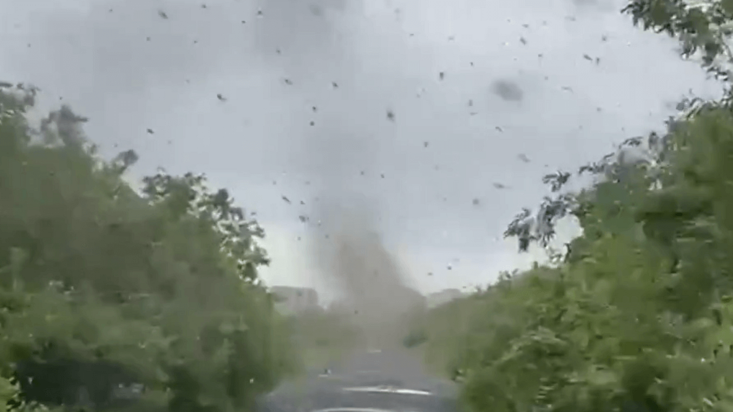 Nuage de moustiques en Russie