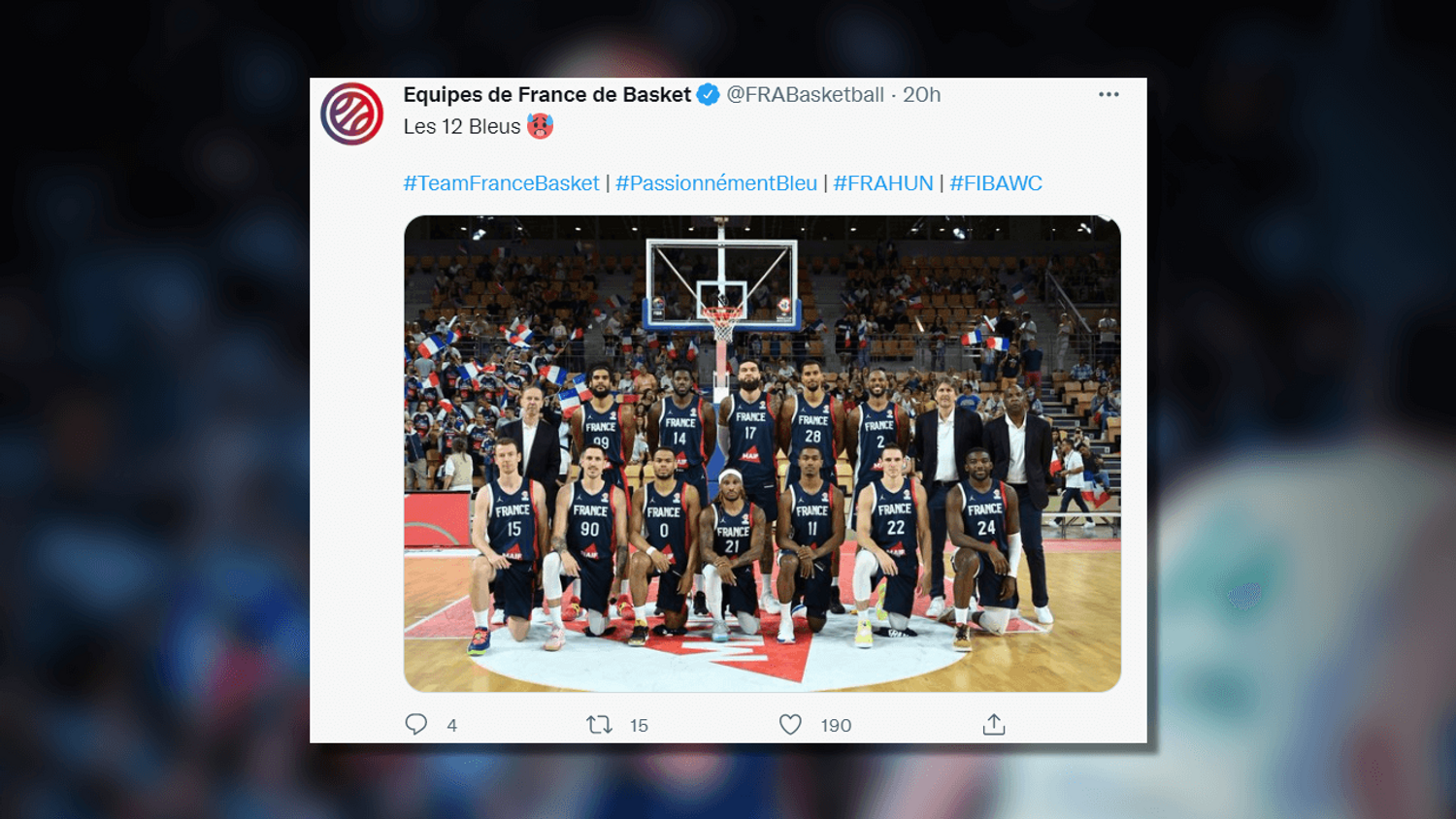 L’équipe de France de basket masculine termine son premier tour de qualification en beauté 