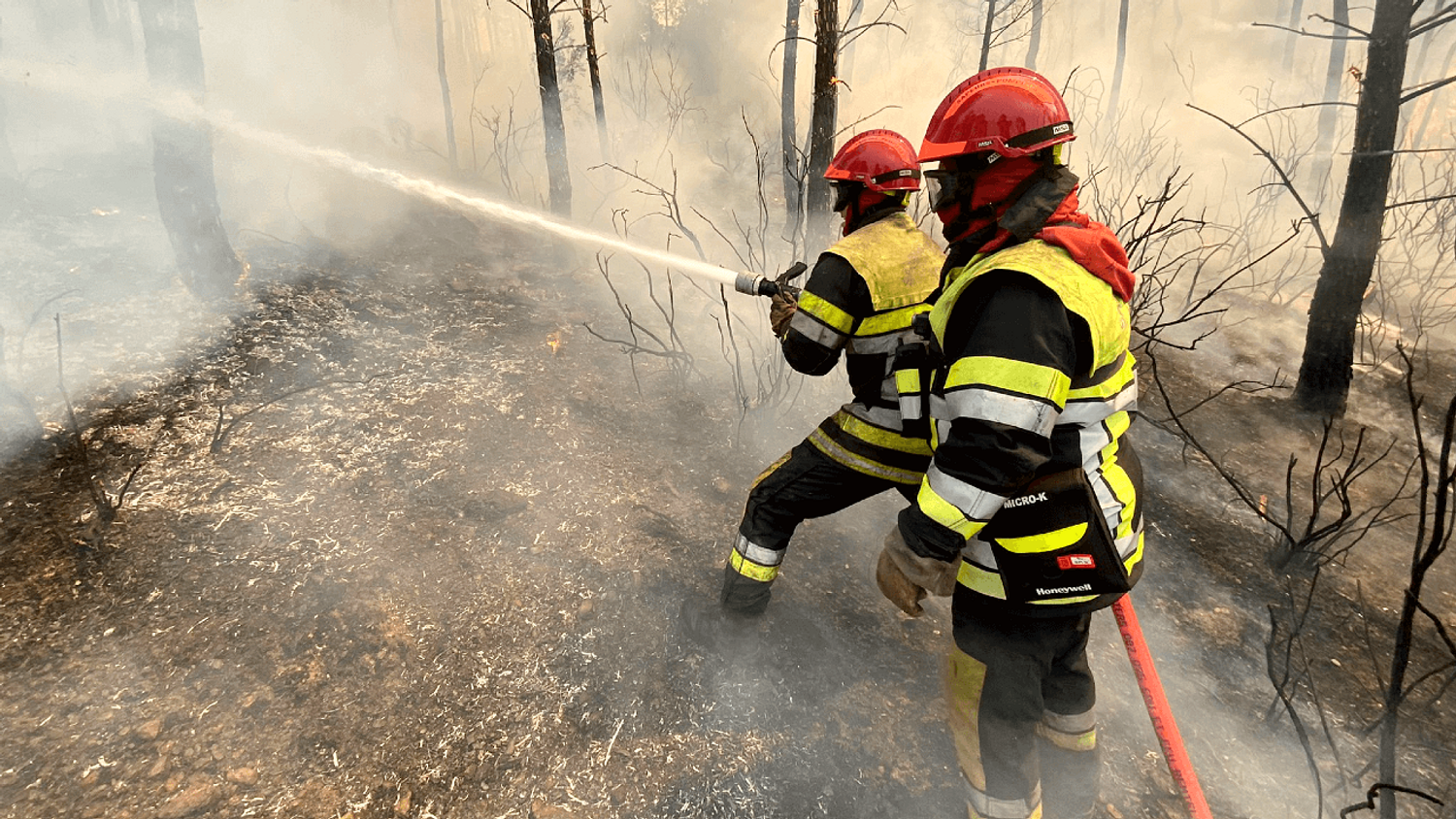 Incendies en Ardèche : un homme de 44 ans avoue avoir mis le feu