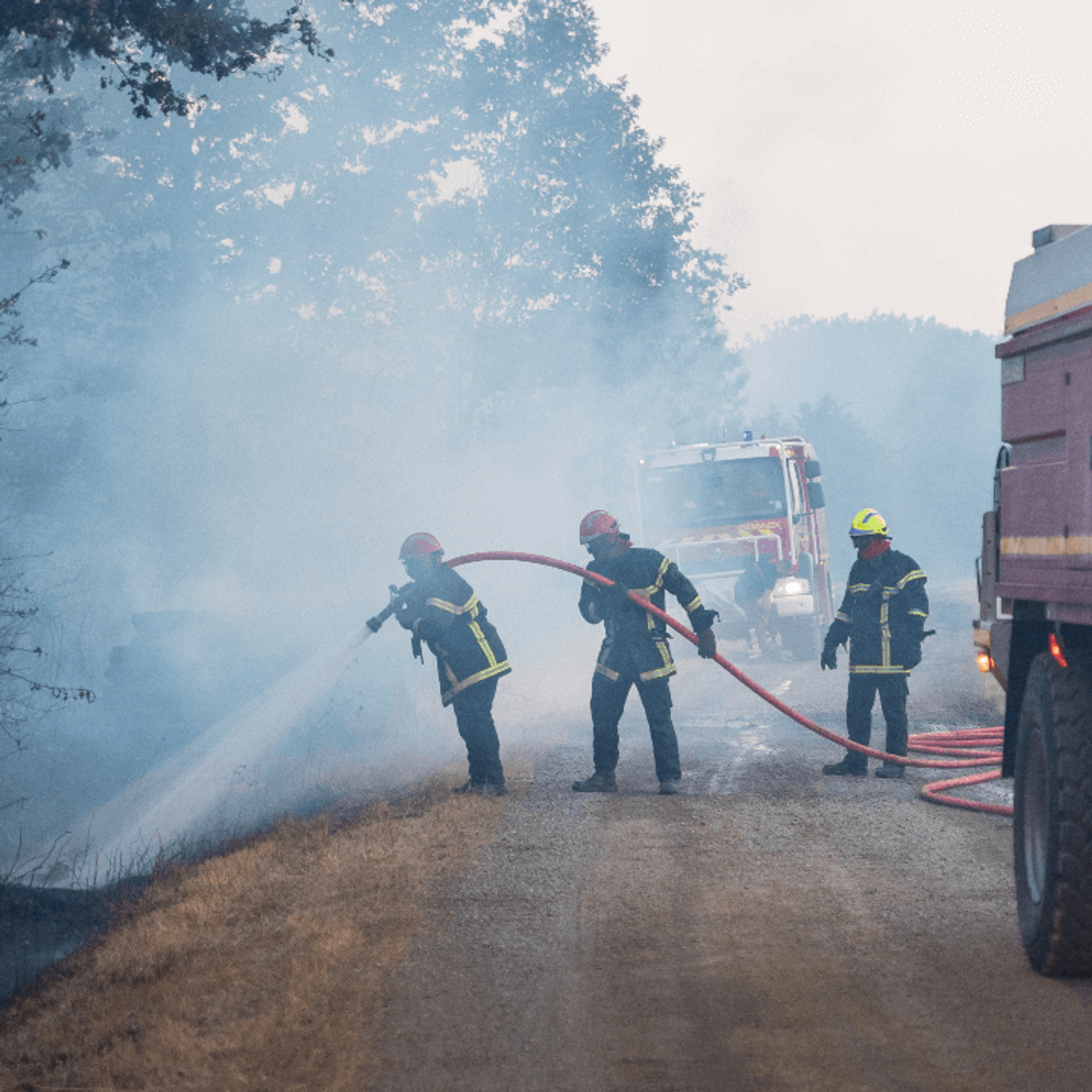 Près de 1 300 hectares brûlés dans le Maine-et-Loire