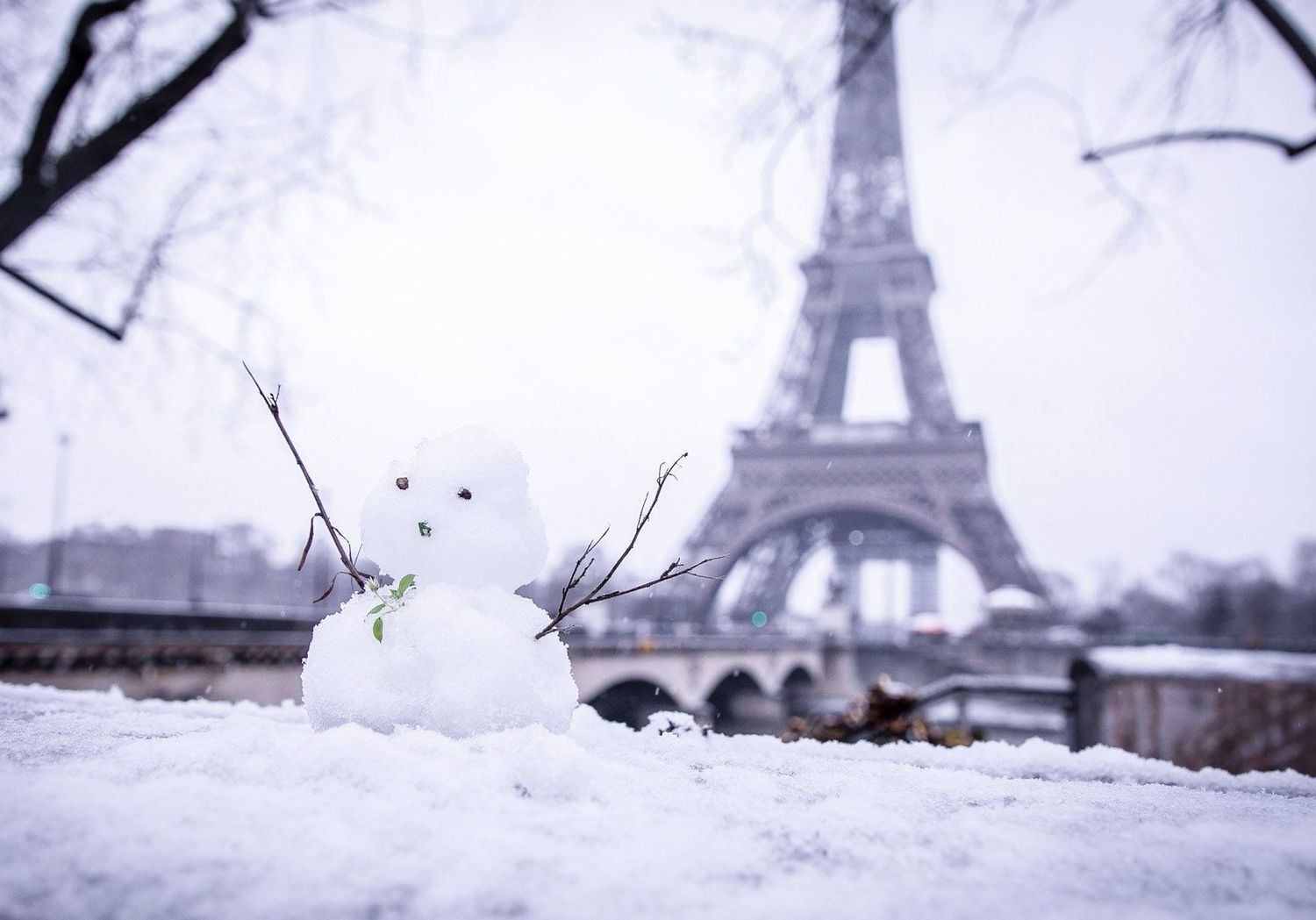 Neige