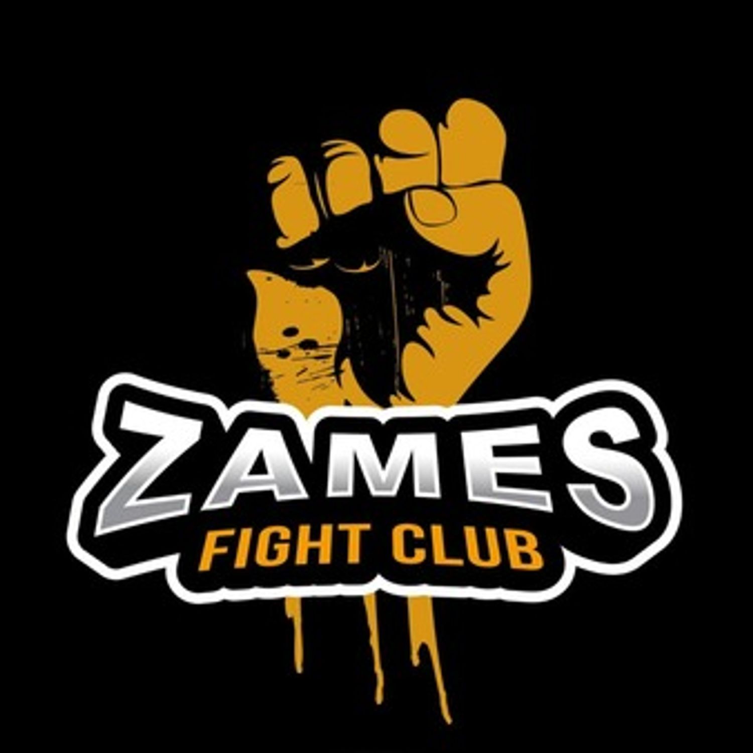ZFC 3