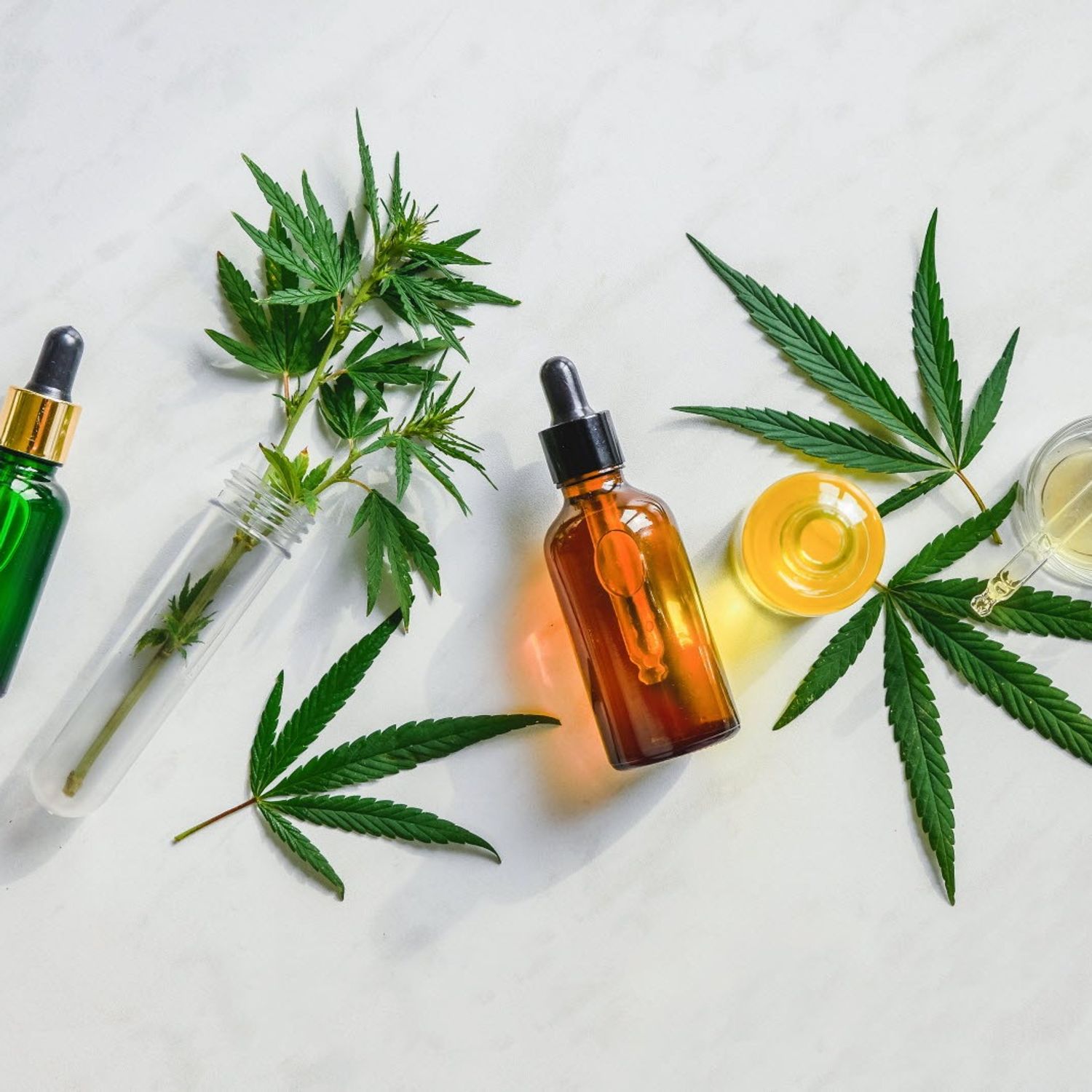 Le cannabis, un remède contre la Covid-19 ?