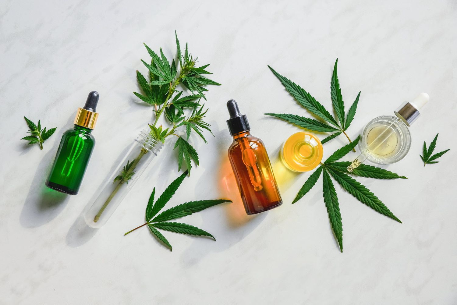 Le cannabis pourrait protéger du coronavirus