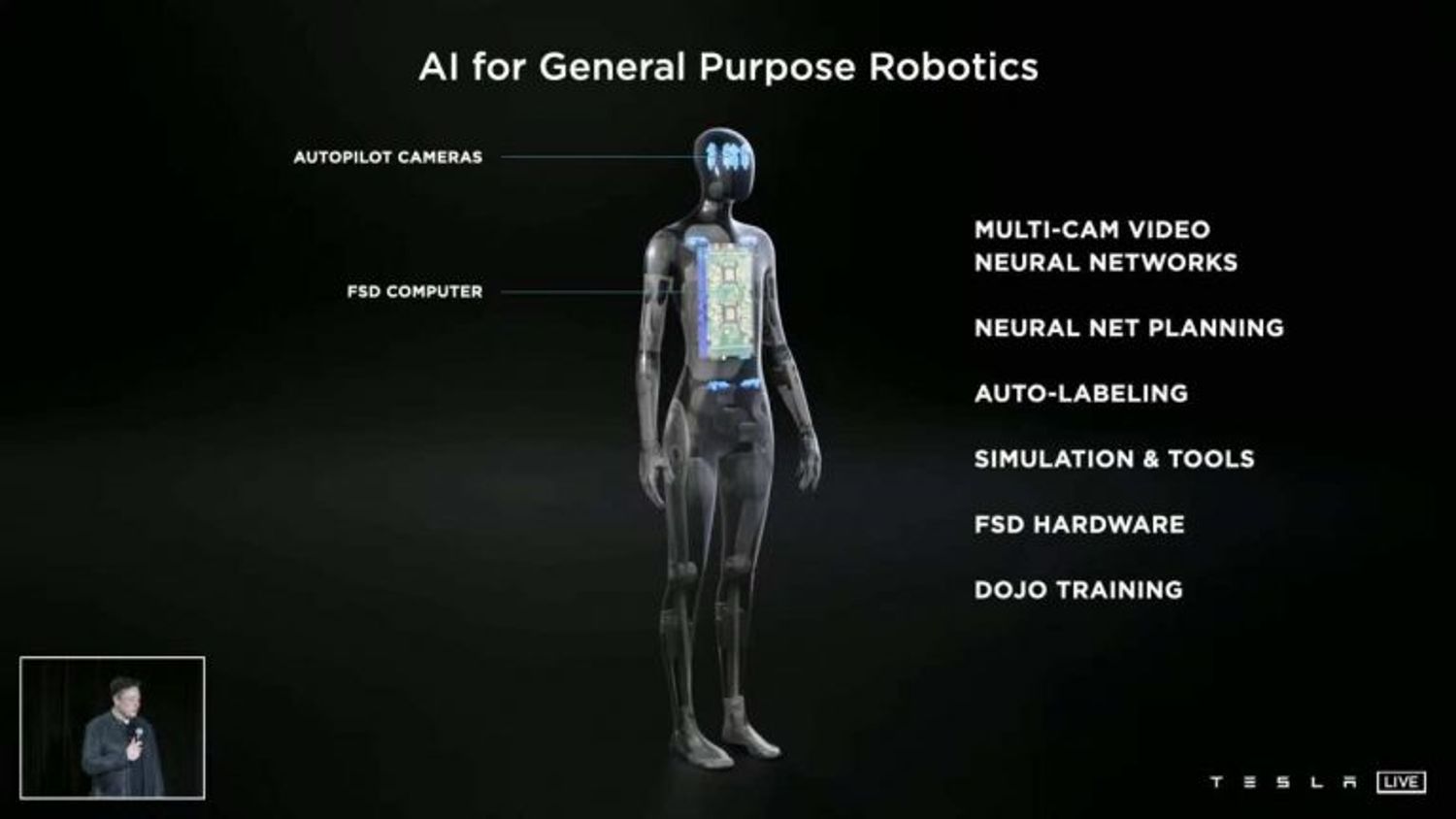 Tesla bot