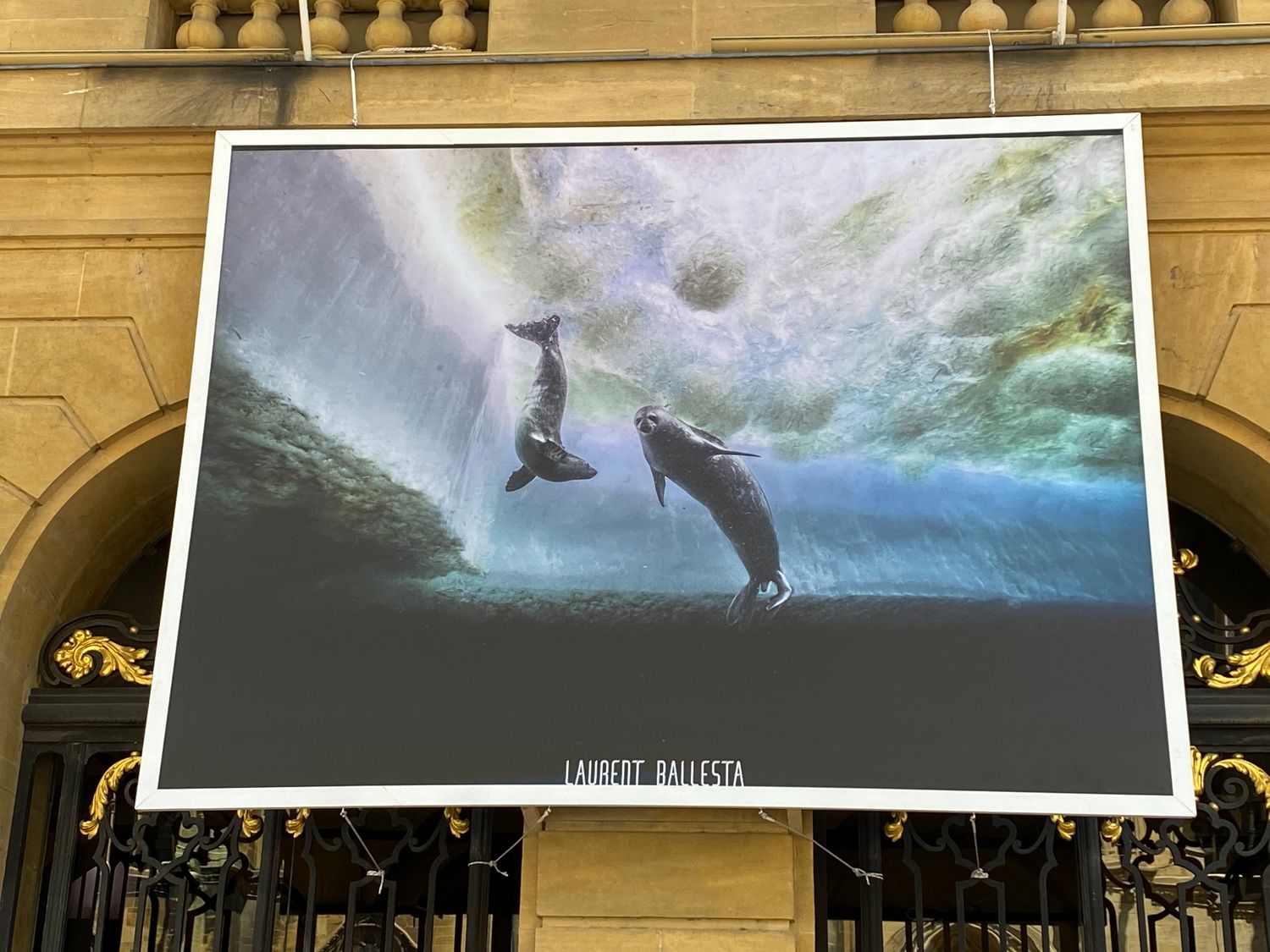 Pourquoi y a-t-il des photos d’animaux sur la façade de la mairie de Metz ?