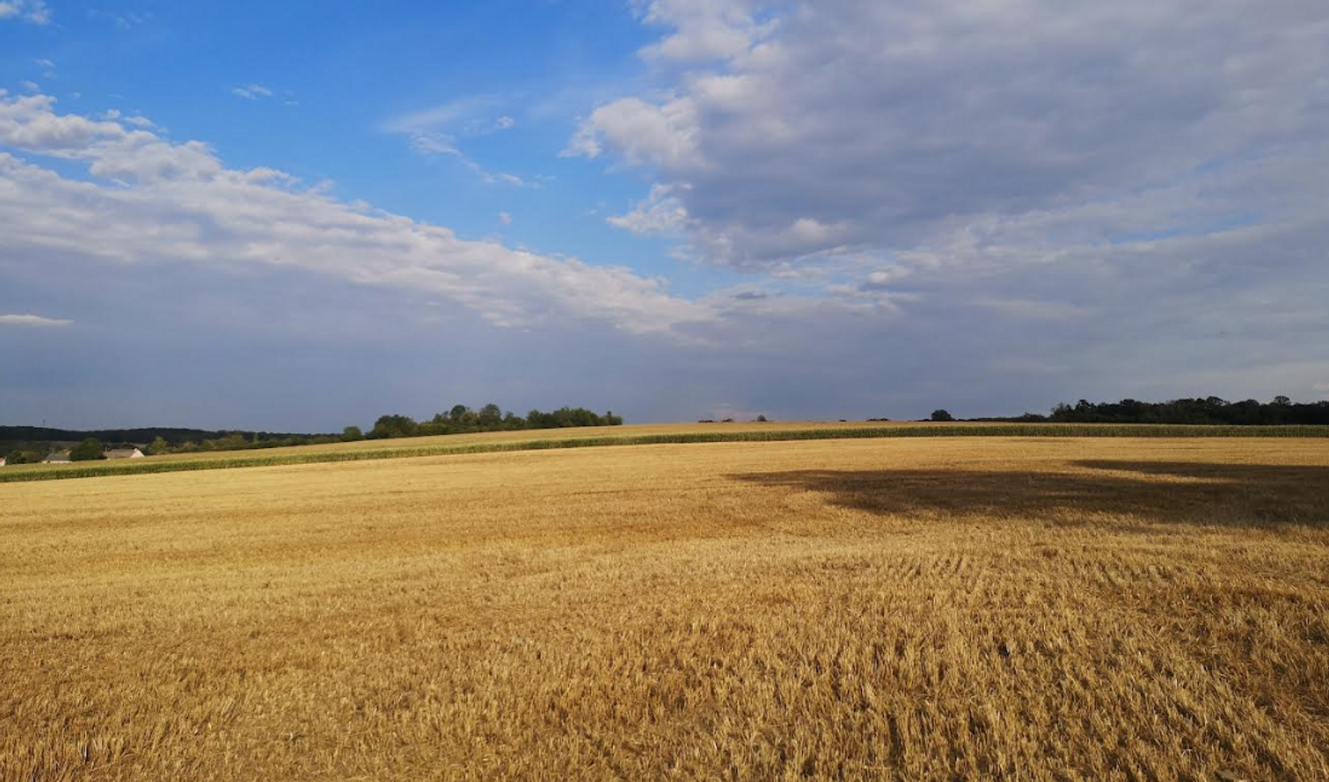 La campagne de Meurthe-et-Moselle