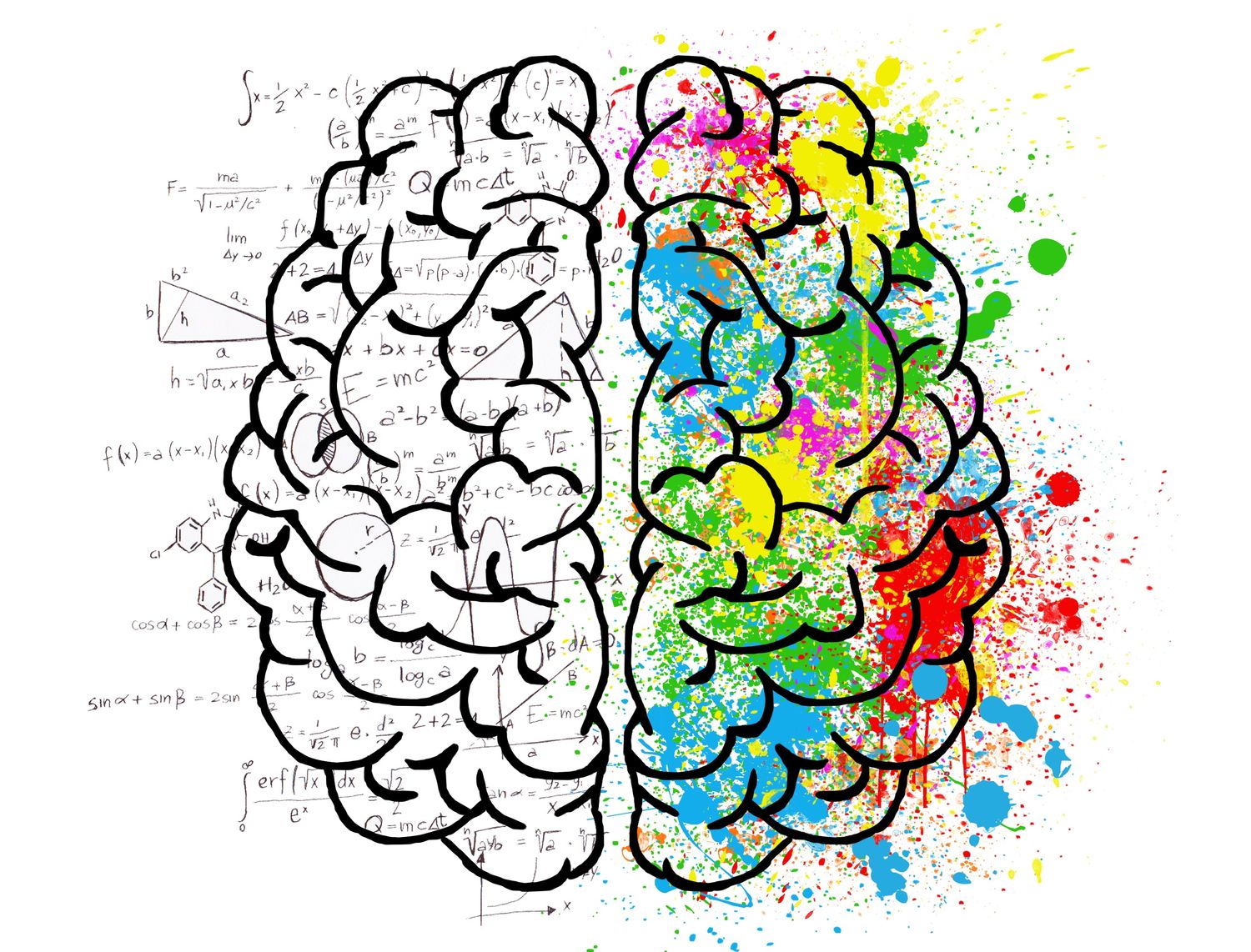 Mois du cerveau Mulhouse