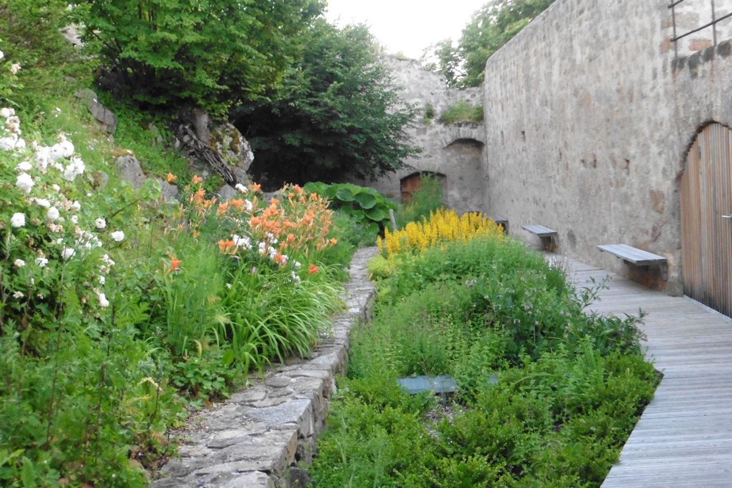 Mets'diévales - Balade botanique autour des préceptes de Hildegarde de Bingen