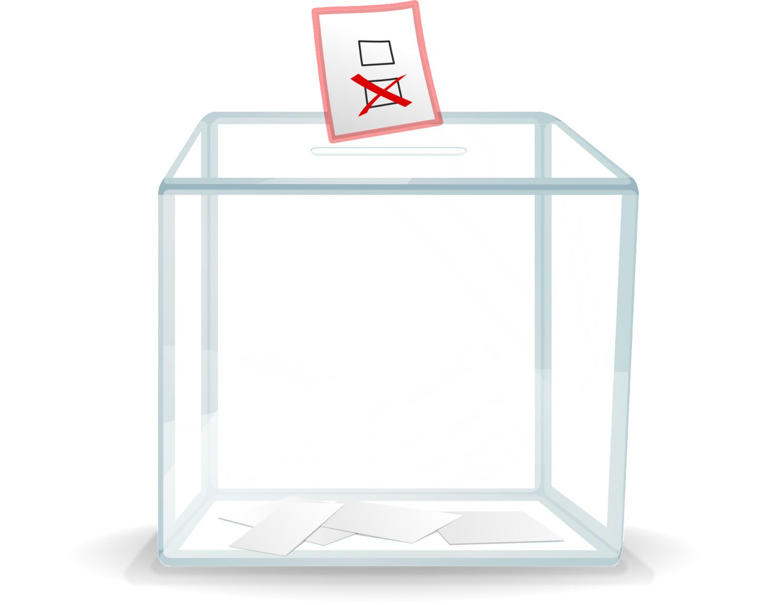Election municipale partielle à Carros