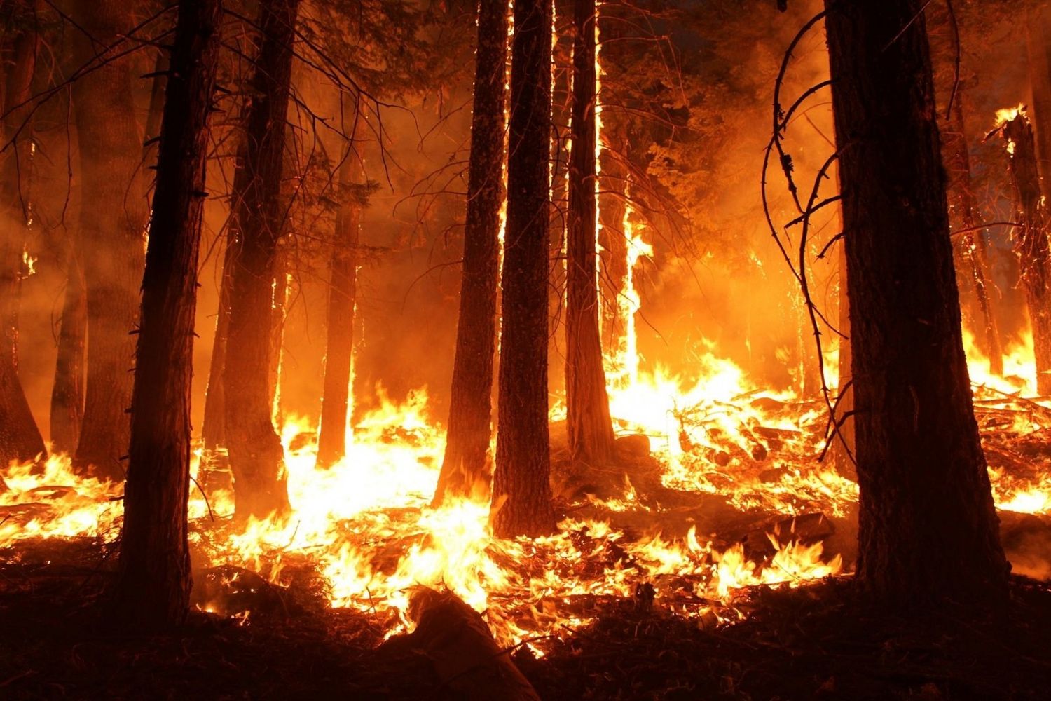 15/07/22 : INCENDIES EN GIRONDE