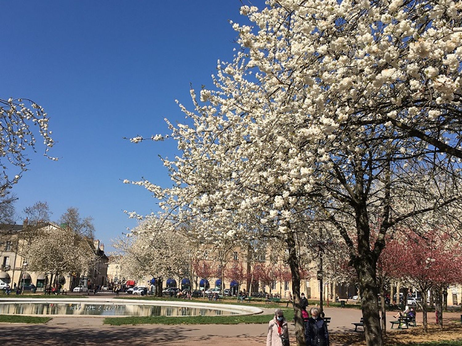 La semaine a aussi été marquée par la présence du soleil comme ici place Wilson, à Dijon