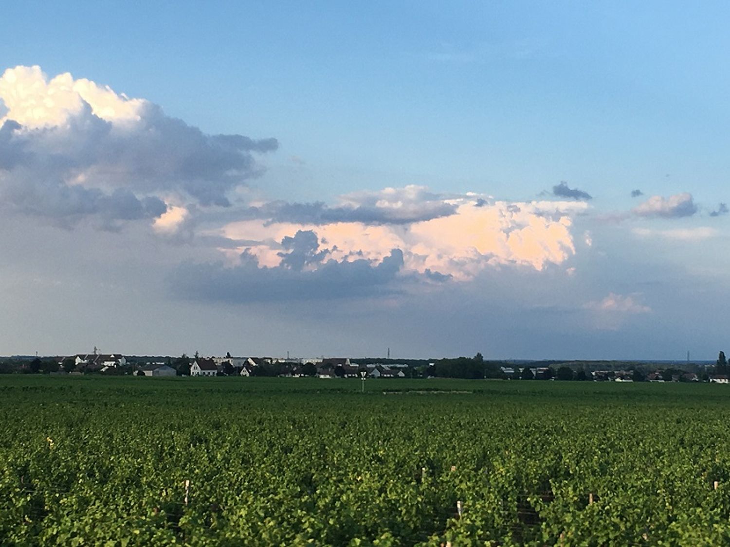La présence des orages a aussi marqué la semaine en Côte d'Or