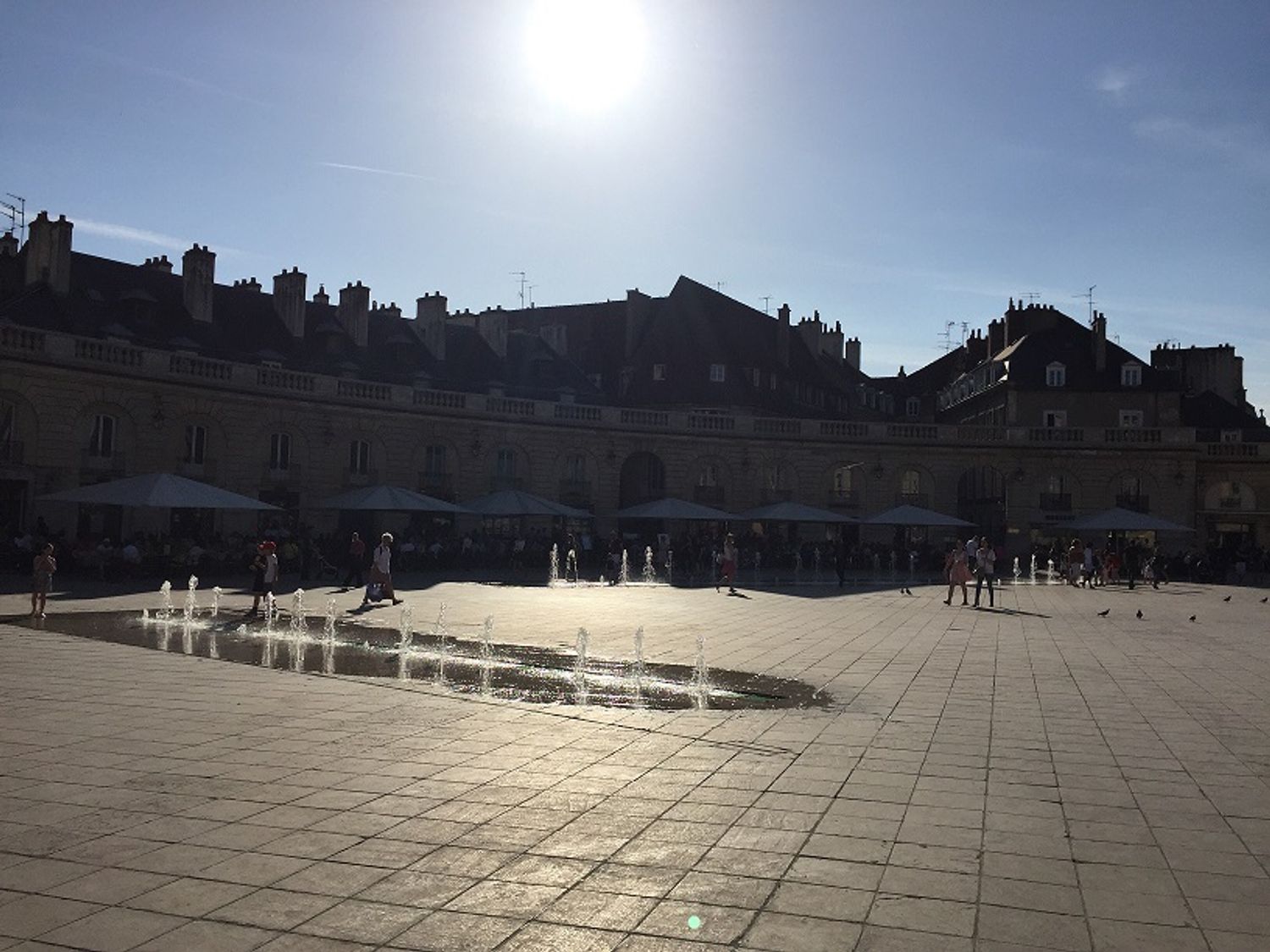 Le soleil était bien présent cette semaine à Dijon et en Côte d'Or 