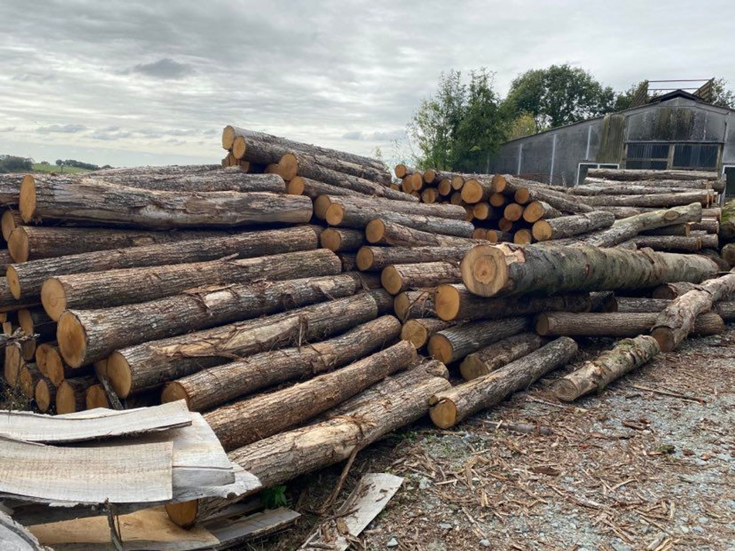 Un stock de bois en Vendée