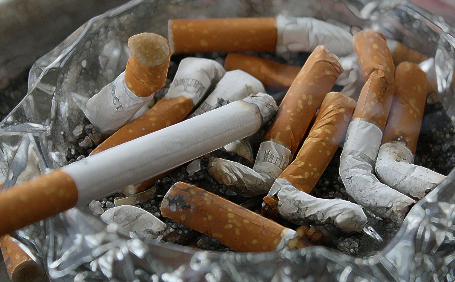 Fumer - cigarettes écrasées