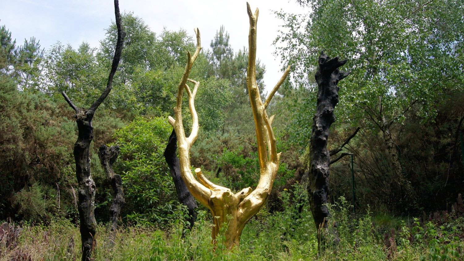 Brocéliande