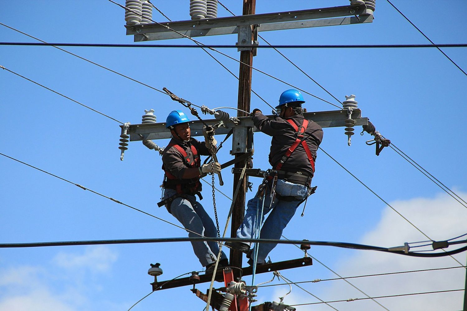wire