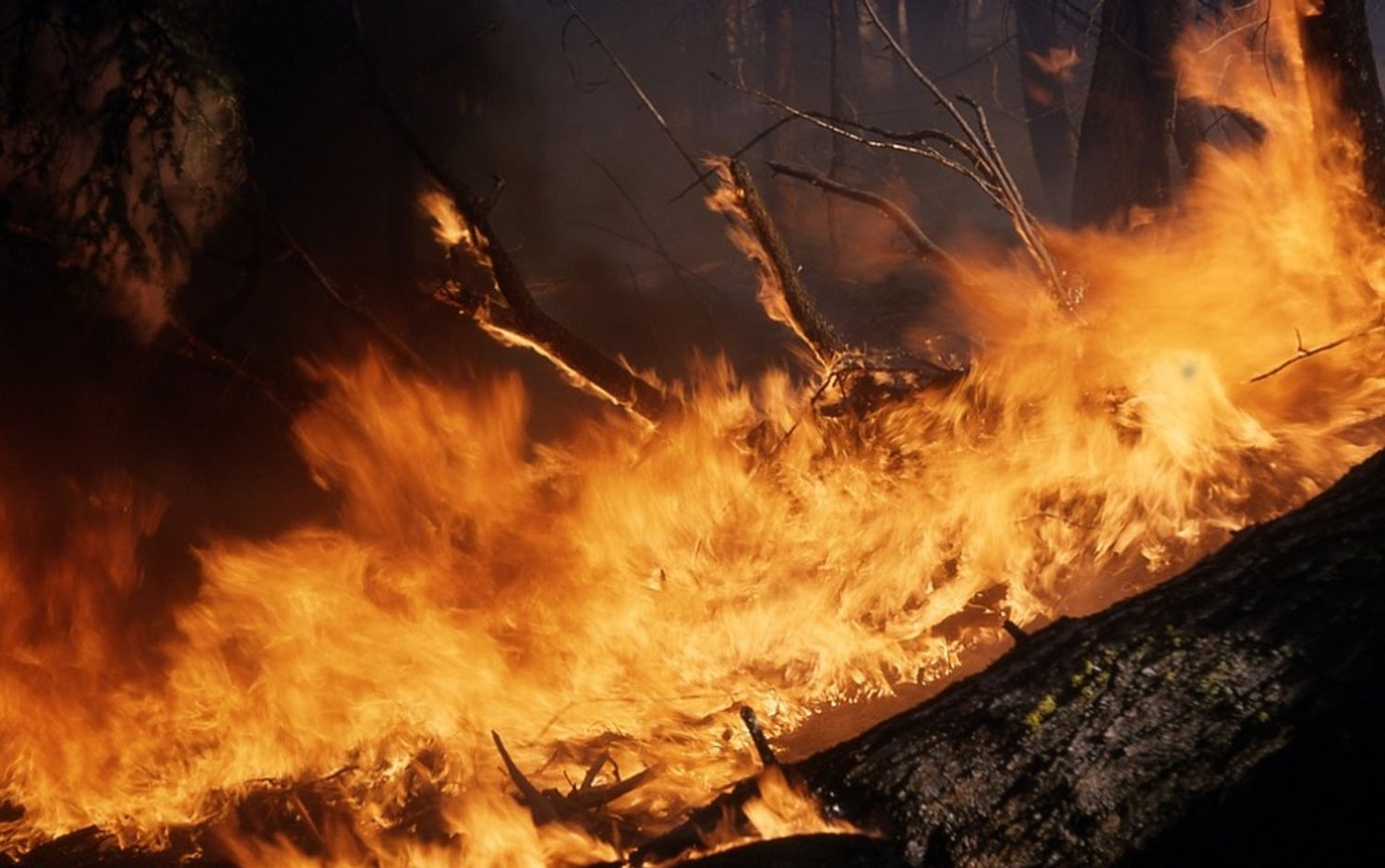 incendies