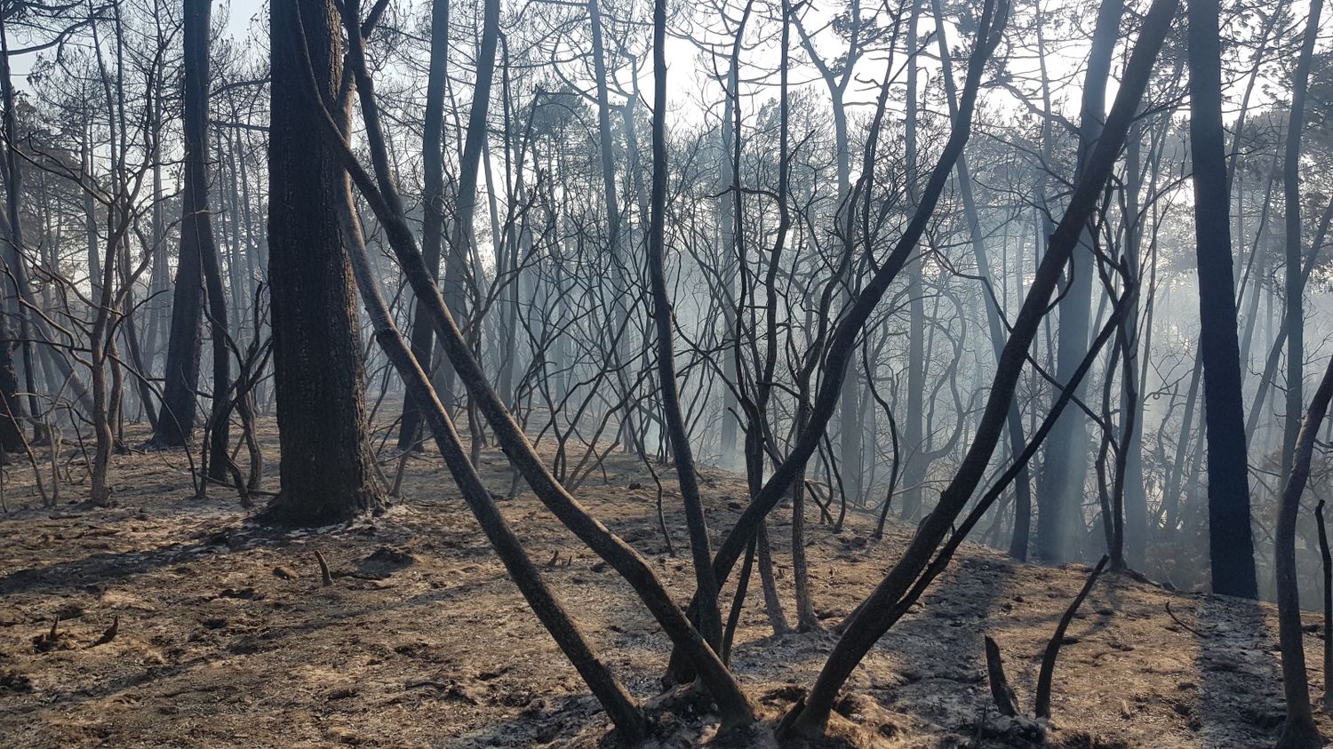 incendies 10