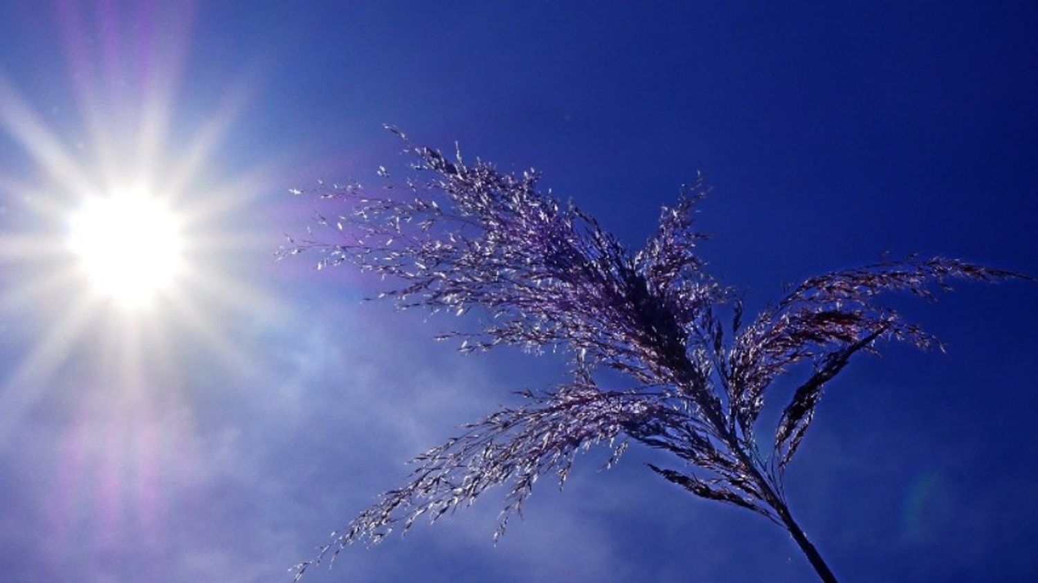 Météo France