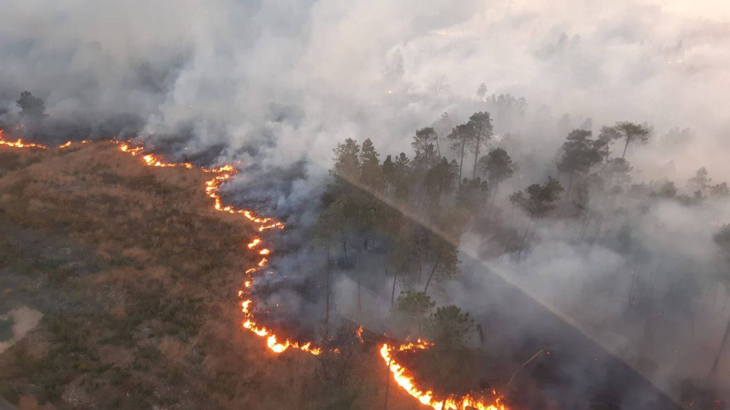 170 hectares de forêt sont partis en fumée à La Breille-les-Pins.