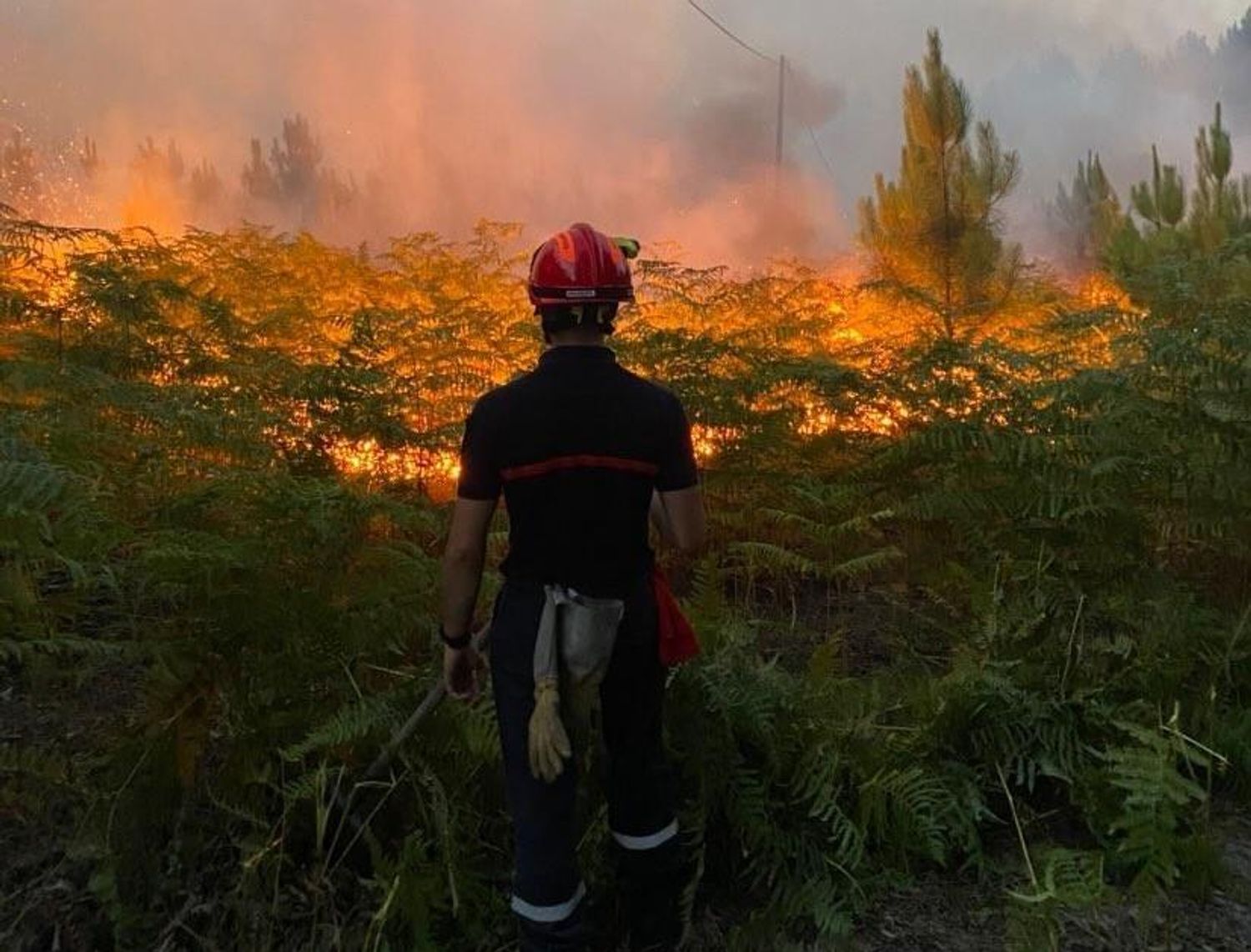 Un sapeur-pompier devant les flammes dans le Sud-Gironde