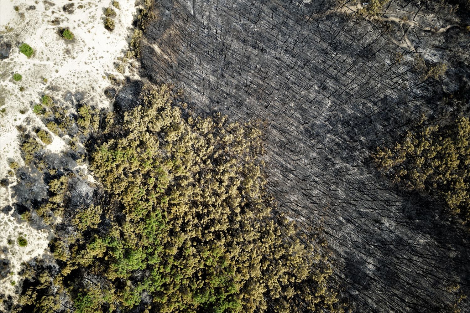 incendies SDIS