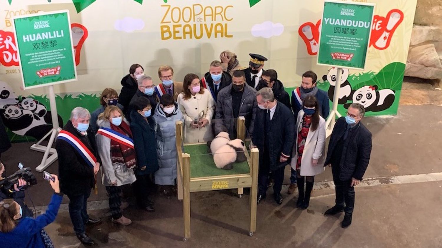 Les jumelles pandas du ZooParc de Beauval se prénomment Huanlili et Yuandudu