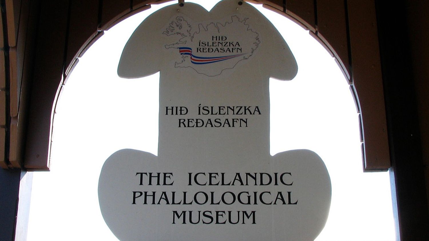 Le musée phallique de Reykjavik (Islande).