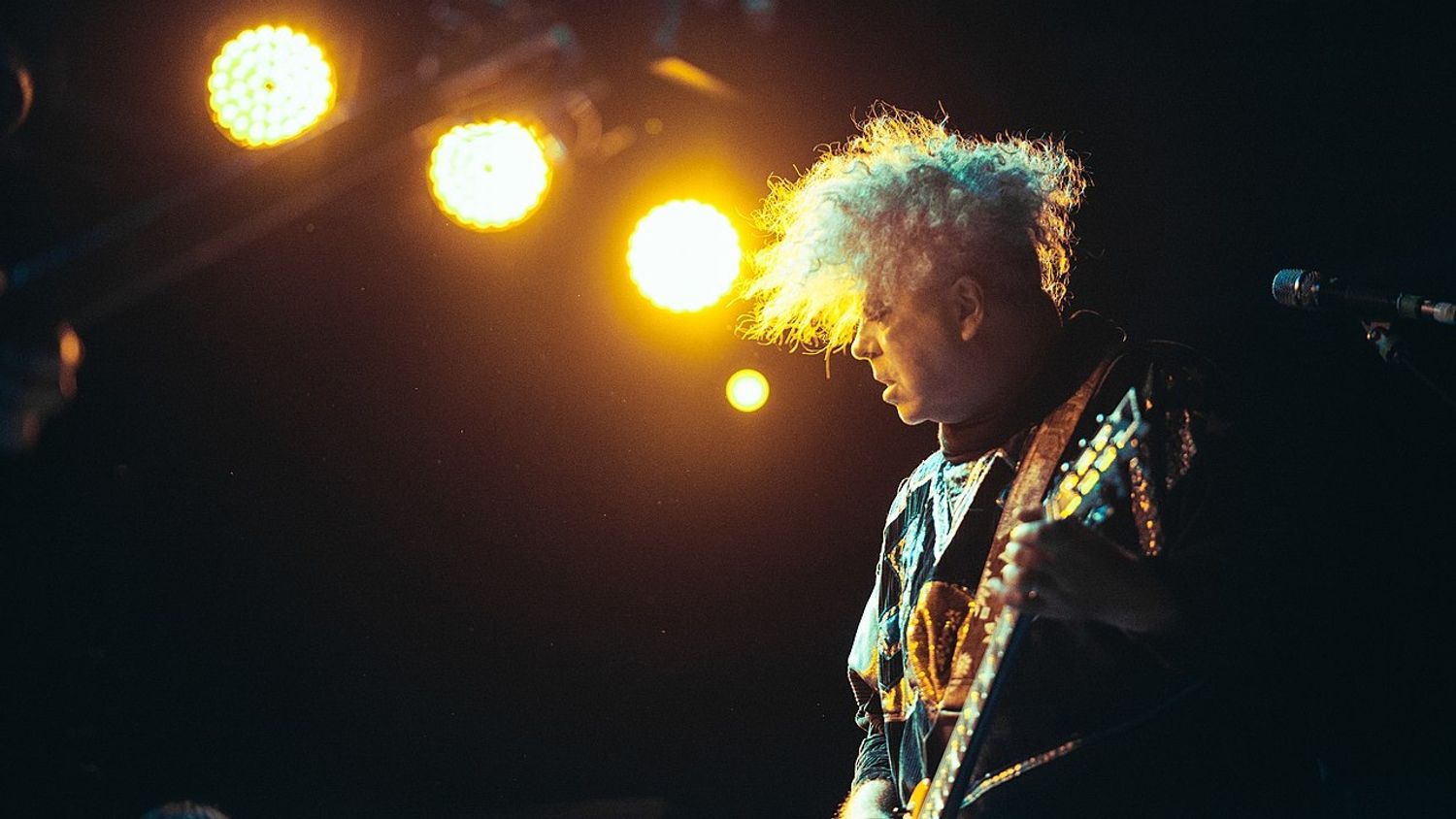 The Melvins en 2018
